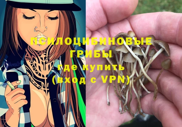 таблы Алексин